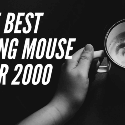 best gaming mouse under 2000